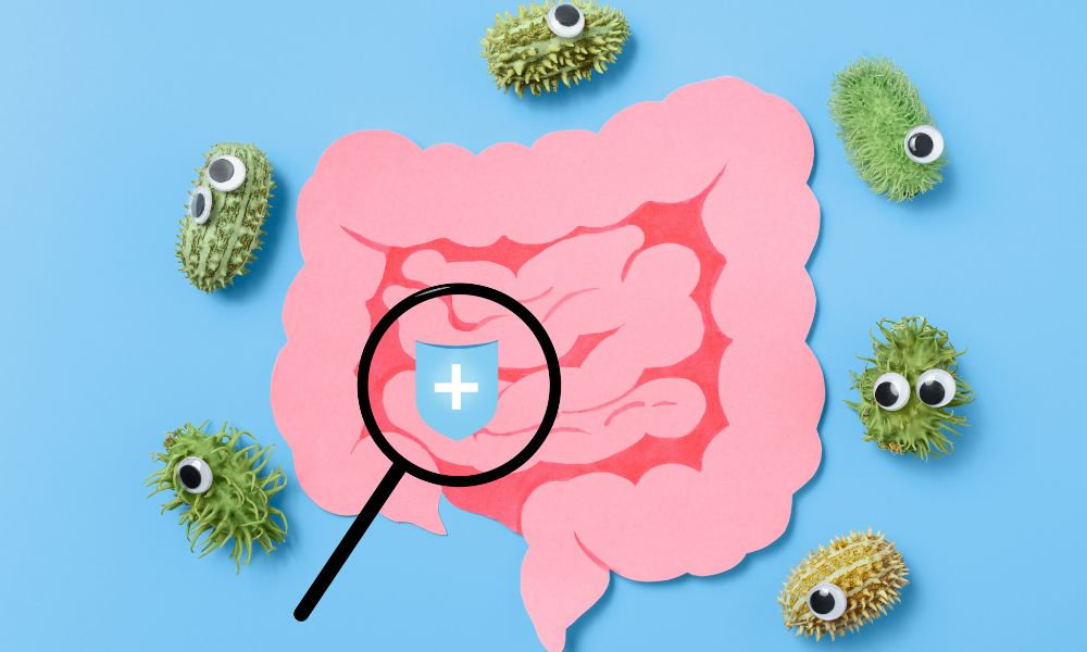  Ilustrácia ružového čreva obklopeného zelenými baktériami s očami na modrom pozadí so zväčšovacím sklom a štítom, symbolizujúca ochranu črevného mikrobiómu probiotikami po antibiotikách.