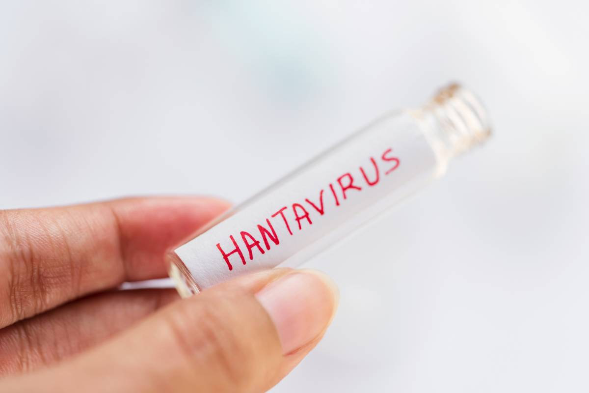  skumavka_hantavirus