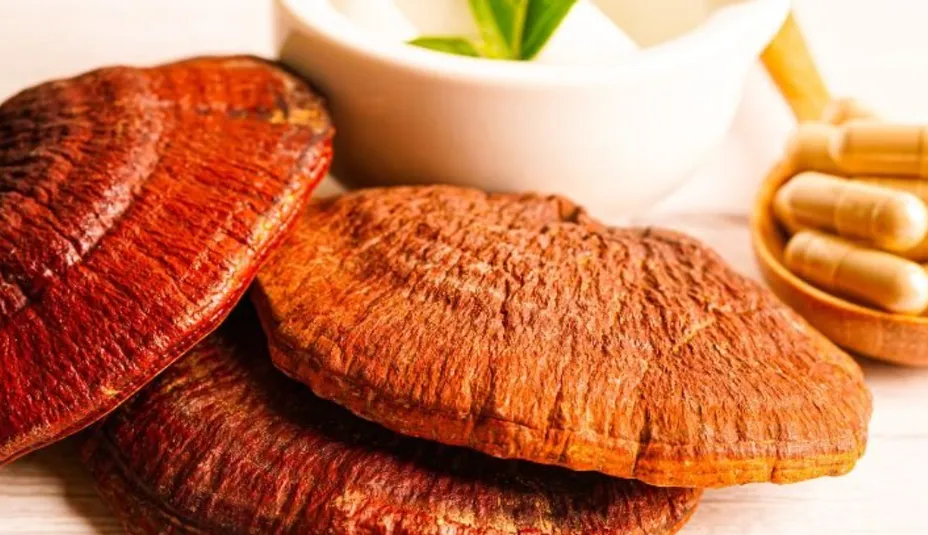 Poznáte reishi? Tu sú dôvody, prečo ju užívať!