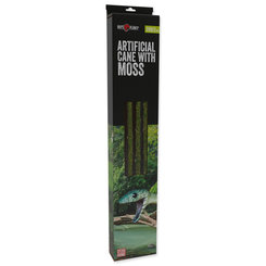 Dekorácia Repti Planet liana s machom šírka 2cm dĺžka 200cm