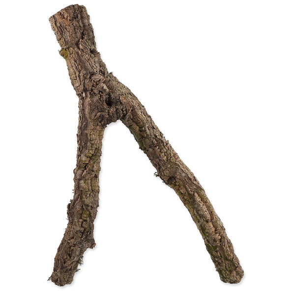 Dekorácia Repti Planet Korková vetvička M 30-60 cm