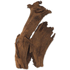 Dekorácia Repti Planet Koreň DriftWood Bulk M 29-36cm