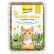 GimCat Hy-Grass mačacia tráva 150g