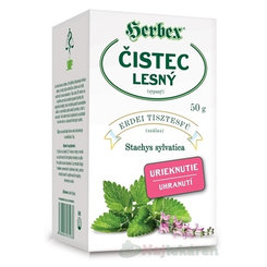 HERBEX ČISTEC lesný sypaný čaj 50 g