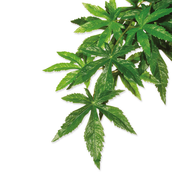 Dekorácia Exo Terra Rastlina textil Abutilonon malá