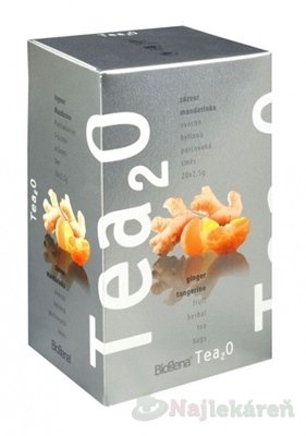 E-shop Tea2O Zázvor & Mandarínka, 20x2,5 g