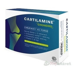 CARTILAMINE CHONDRO 60 tabliet