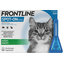 FRONTLINE Spot-on pipeta proti kliešťom a blchám pre mačky 3 x 0,5ml