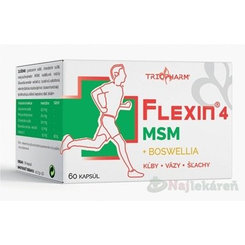 FLEXIN 4 MSM cps 1x60 ks