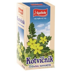 APOTHEKE Kotvičník zemný, 20x1,5g