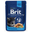 BRIT Premium cat Kapsička Kitten Chicken Chunks 100g