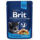 BRIT Premium cat Kapsička Kitten Chicken Chunks 100g