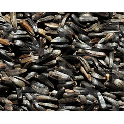 Versele Laga Niger 20kg