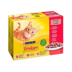 Friskies cat Multipack kura&hovädzie&jahňacie&kačica kapsička 12x85 g