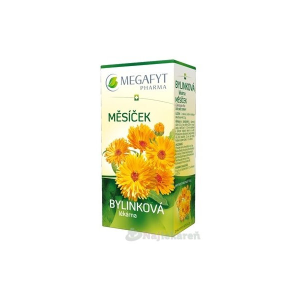 MEGAFYT Bylinková lekáreň NECHTÍK, 20x1,5 g