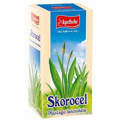APOTHEKE Skorocel kopijovitý, 20x1,5 g