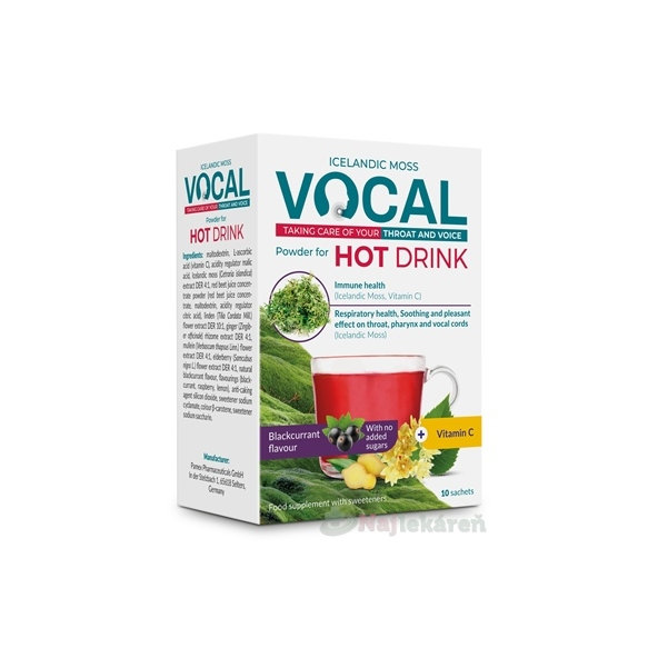 VOCAL HOT DRINK prášok na prípravu nápoja s príchuťou čiernych ríbezlí, vrecúška 1x10 ks