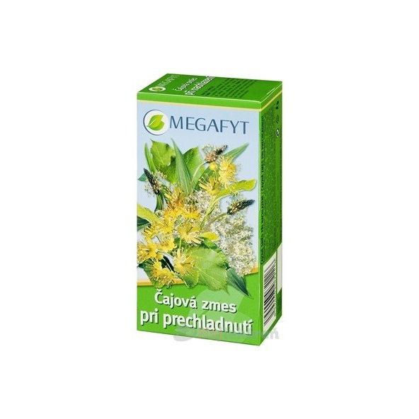 MEGAFYT Čajová zmes pri prechladnutí, 20x1,5g