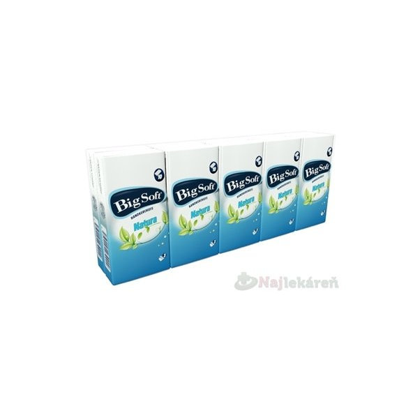 Big Soft Natura vreckovky hygienické 10x10 ks