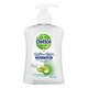 DETTOL TEK.MYDLO JEMNA ALOE  250ML