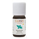 HANUS SILICA BAZALKA 10 ml