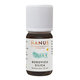 HANUS SILICA BOROVICA 10 ml