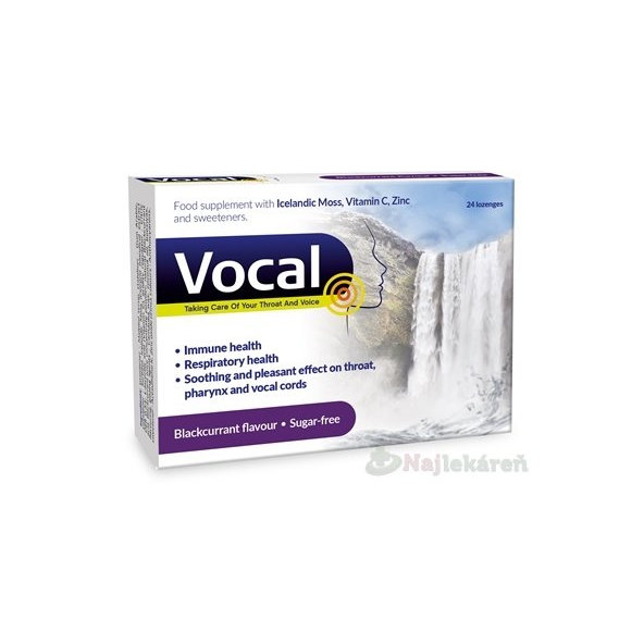 Vocal pastilky s príchuťou čiernych ríbezlí, bez cukru 24 ks