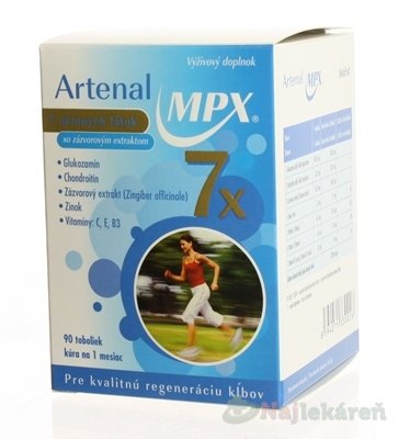 E-shop Artenal MPX, 90 ks