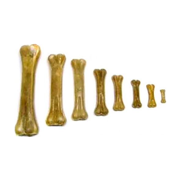 Maškrta Salač Kosť prírodná 16-17cm, 10ks