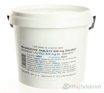 E-shop Magnesii lactas Galvex 500 mg