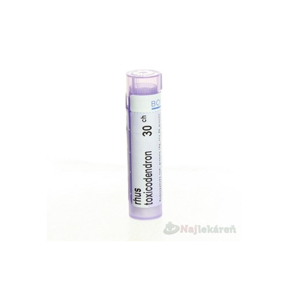 RHUS TOXICODENDRON, GRA HOM CH30, na kožné a slizničné indikácie, 4 g