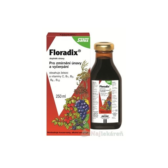 SALUS Floradix bylinný sirup, 250 ml