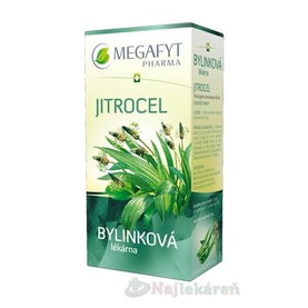 MEGAFYT Bylinková lekáreň SKOROCEL, bylinný čaj,  20x1,5 g