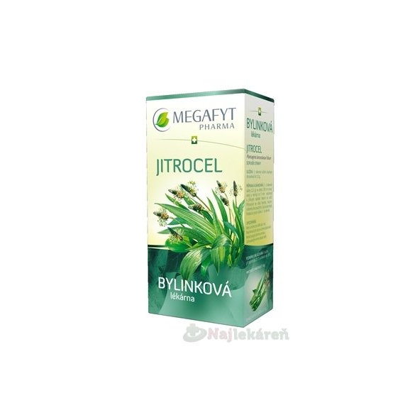 MEGAFYT Bylinková lekáreň SKOROCEL, bylinný čaj,  20x1,5 g