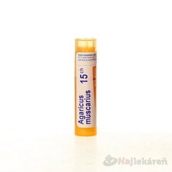 AGARICUS MUSCARIUS, GRA HOM CH15, na nervové a svalové indikácie, 4 g