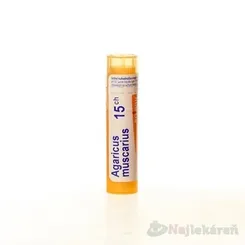AGARICUS MUSCARIUS, GRA HOM CH15, na nervové a svalové indikácie, 4 g