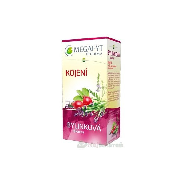 MEGAFYT Bylinková lekáreň DOJČENIE, 20x1,5 g