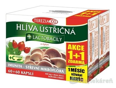 E-shop Hliva ustricovitá + lactobacily AKCIA 1+1 ZADARMO, cps 60+60 zdarma (120 ks)