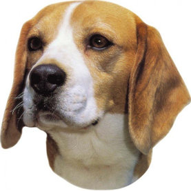 Nálepka Beagle