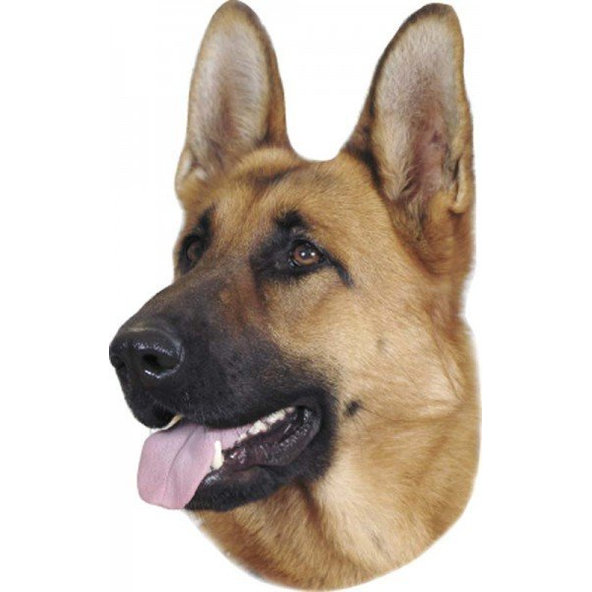 Nálepky Nemecký ovčiak 12x15cm 2ks