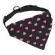 Obojok so šatkou pre psy Mini Scarf 30-40cm ružová