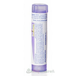 PLUMBUM METALLICUM, GRA HOM CH30, na tráviace indikácie, 4 g