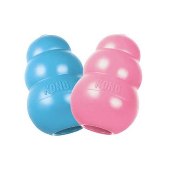 Hračka Kong Dog Puppy Granát modrý/ružový, guma prírodná, S do 9 kg