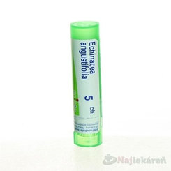ECHINACEA ANGUSTIFOLIA GRA HOM CH5, na hnisavé infekcie, 1x4 g