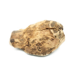 EXPLORER DOG Žuvací koreň z vresu pre psov XL