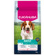 EUKANUBA Adult Small & Medium krmivo pre psy losos a jačmeň 12 kg