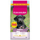 EUKANUBA Puppy Large Breed krmivo s kuracím mäsom 15 + 3 kg