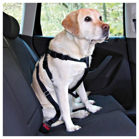 Bezpečnostný postroj pre psy s opaskom M