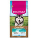EUKANUBA Grain Free Adult Large krmivo pre psy morská ryba 12 kg