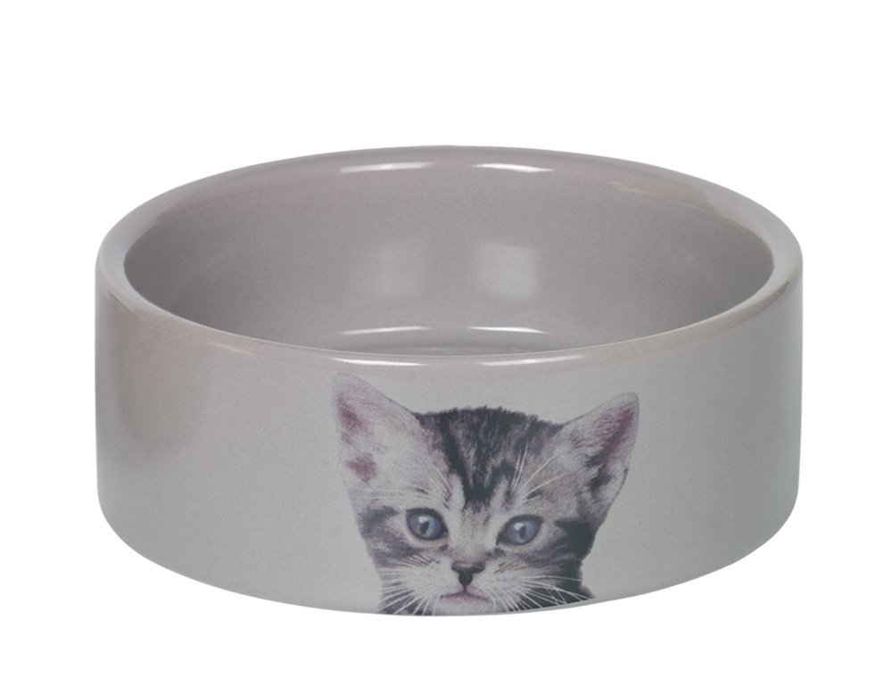 E-shop "Cute" 250ml keramická miska pre mačky